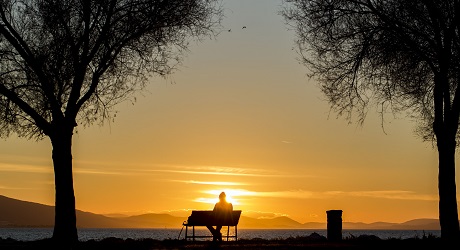 Person sat on a bench between two trees watching a sunrise 